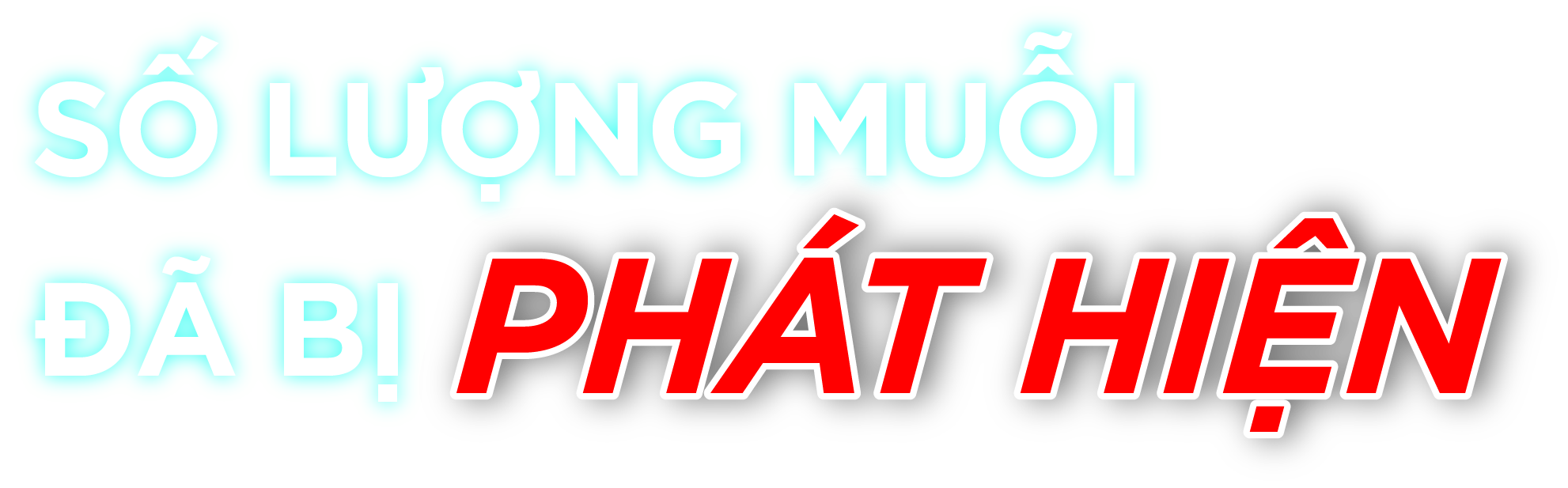 SỐ LƯỢNG MUỖI ĐÃ BỊ PHÁT HIỆN